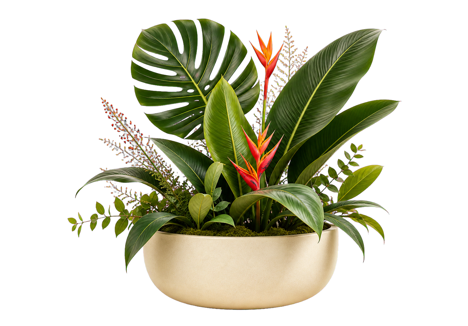 Botanical arrangement in a ceramic planter